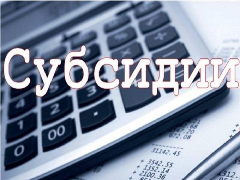 Субсидии на возмещение затрат в связи с приобретением нестационарных торговых объектов.