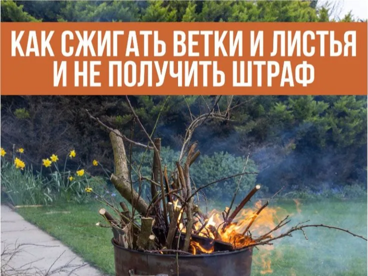🔥 Как сжигать ветки и листья на даче и не получить штраф.