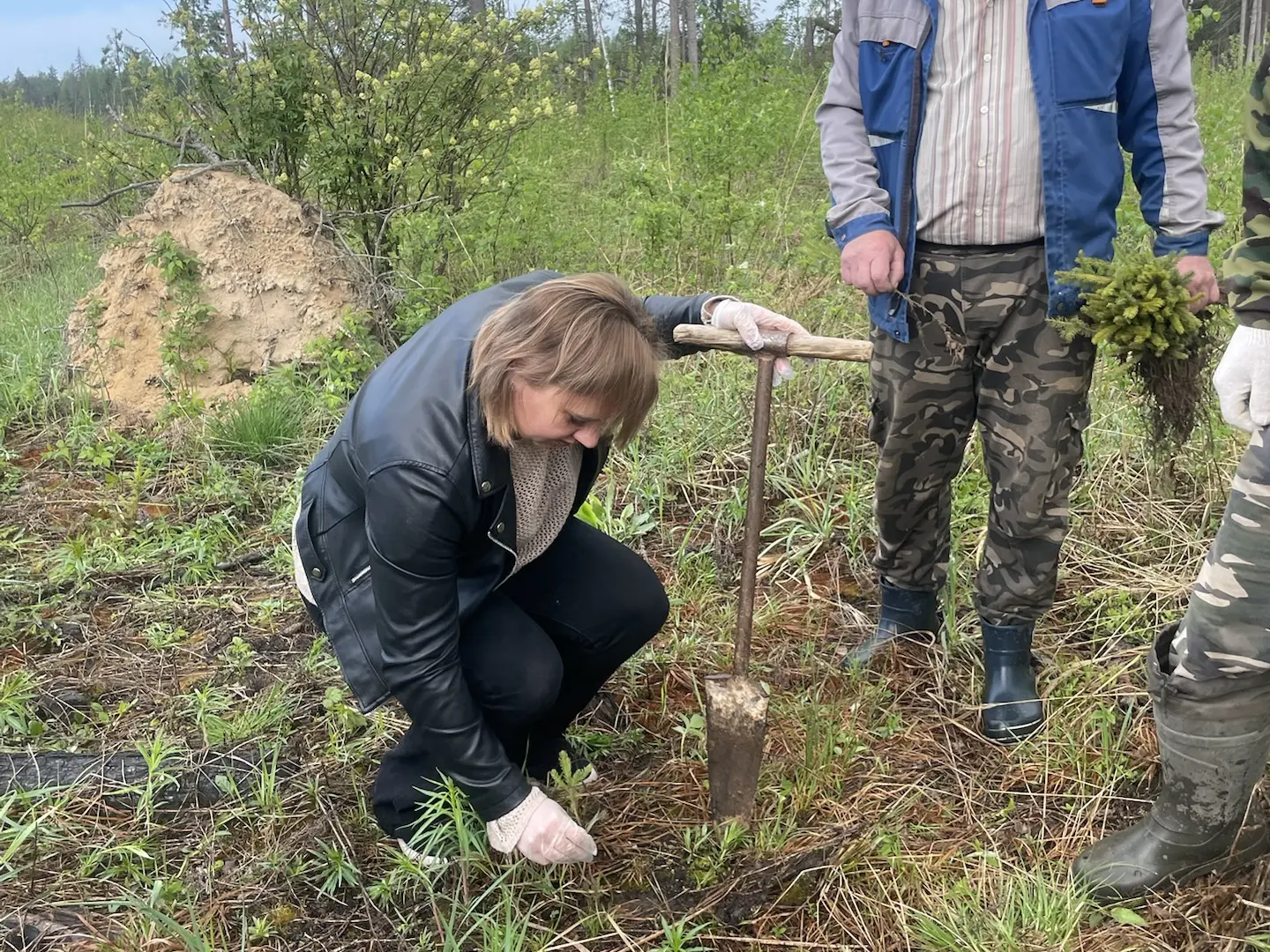 🌿 «Сад памяти»: каждое дерево — символ благодарности 🌿.