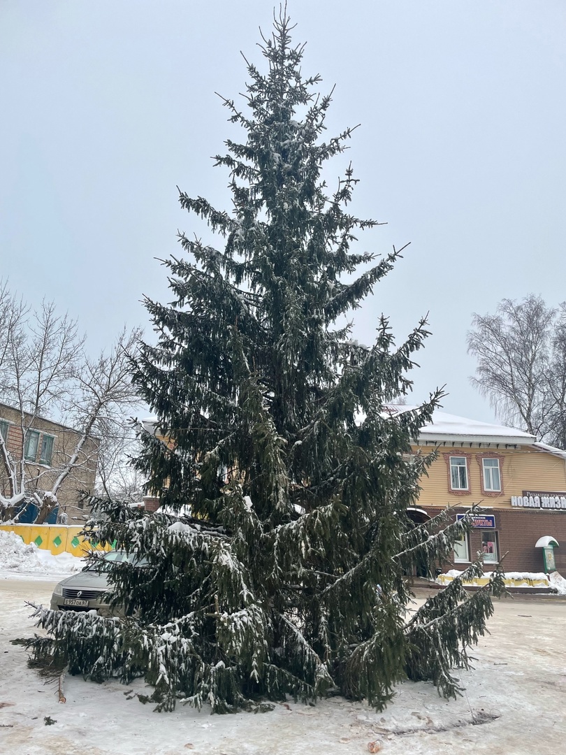 На центральной площади города  установили  елку, которая украсит город в праздничные дни. Затем ее украсят гирляндами и шарами, а на макушку повесят звезду..