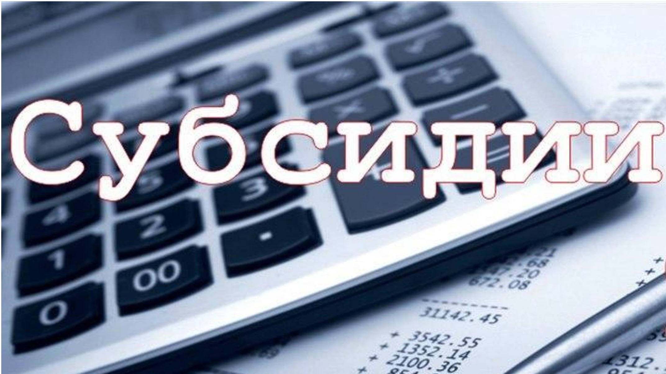 Субсидии на возмещение затрат в связи с приобретением нестационарных торговых объектов.