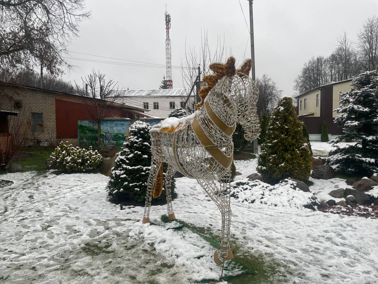 В городском парке новый объект.