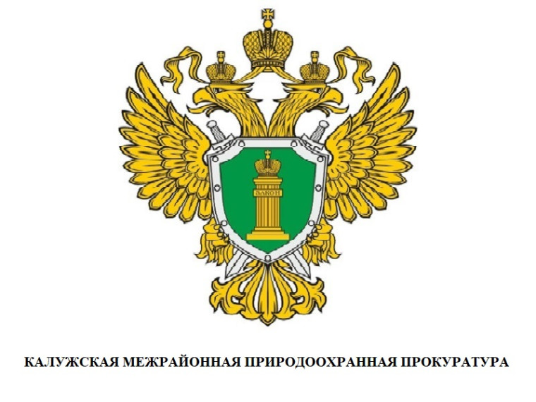 Ответственность за нарушение правил пожарной безопасности в лесах. Ответственность за нарушение правил пожарной безопасности в лесах.